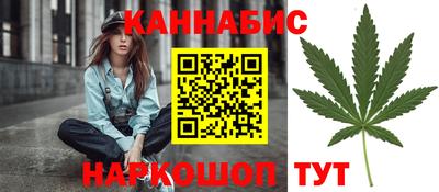 шишки Апшеронск