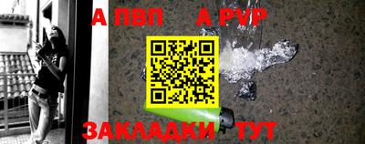 шишки Апшеронск