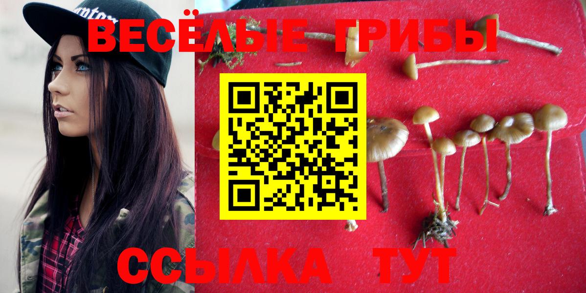 Псилоцибиновые грибы мухоморы  Вход с VPN  закладки  Джанкой 