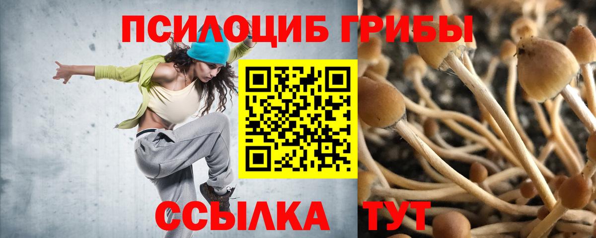 Галлюциногенные грибы Cubensis Джанкой