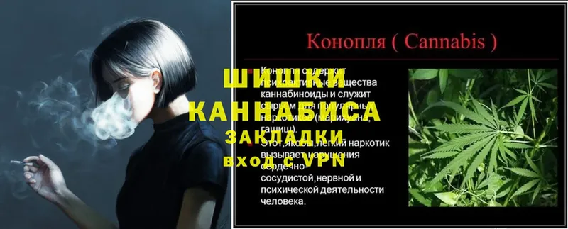 магазин продажи наркотиков  Джанкой  Канабис Amnesia 